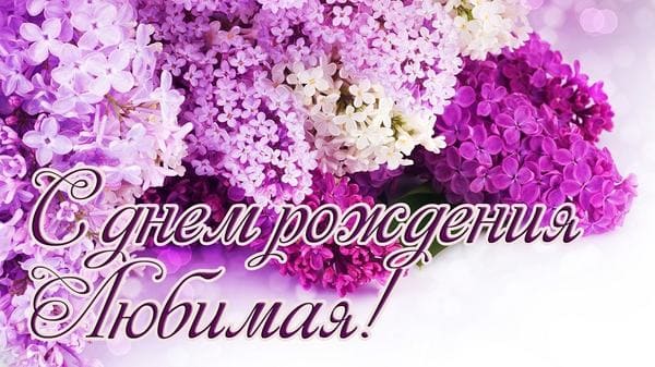 с днем рождения любимая открытка сирень