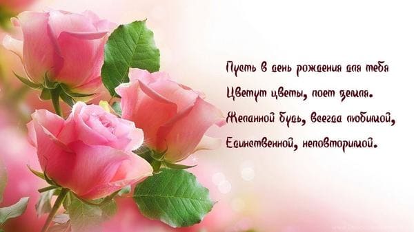 розовые розы на открытке с днем рождения женщине