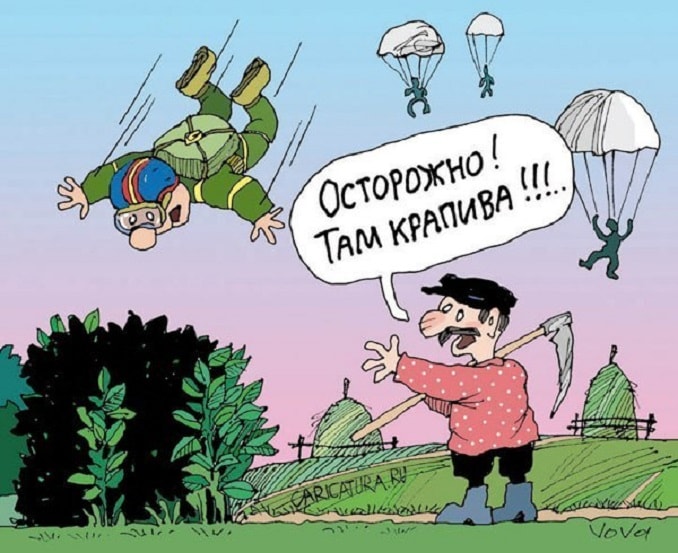 парашютист падает в крапиву