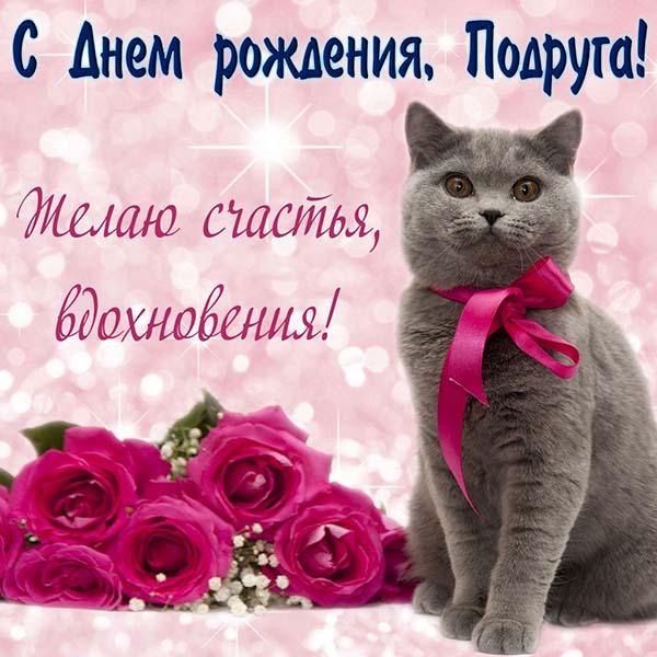 поздравление открытка на день рождения подруге с котом