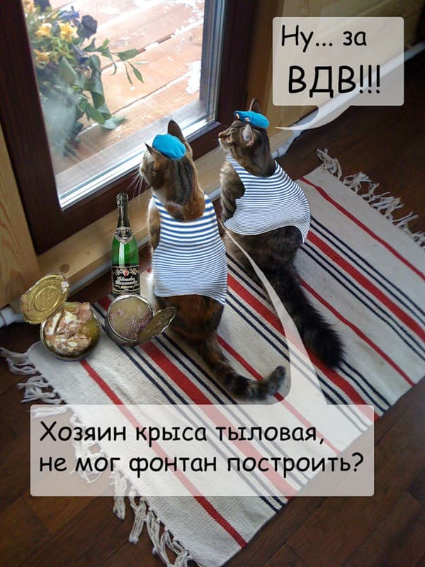 прикольная картинка коты в форме вдв