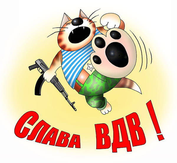 слава вдв кот на картинке