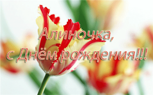 алиночка с днем рождения