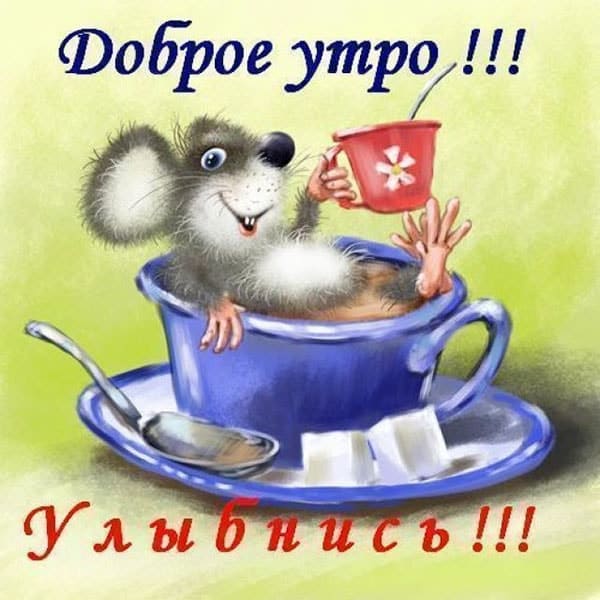 доброго утра девушке прикольная картинка_1