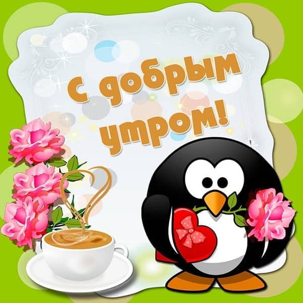 доброго утра девушке прикольная картинка_4