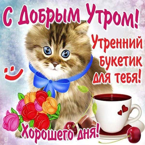 доброго утра девушке прикольная картинка_5