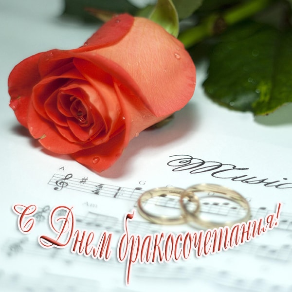 с днем бракосочетания, роза и кольца
