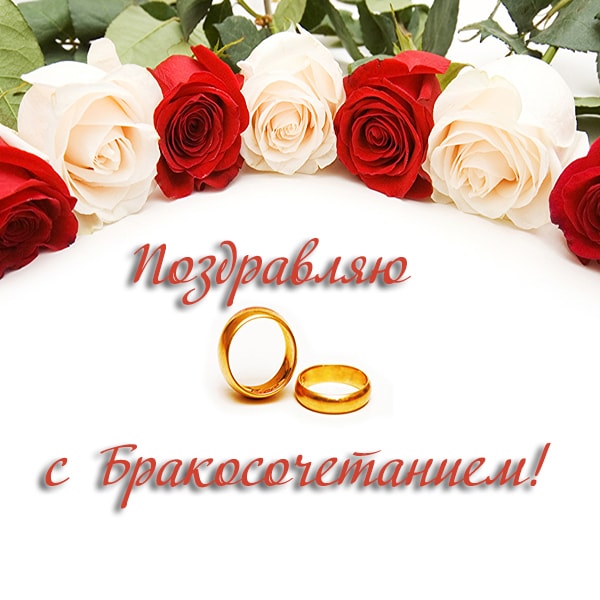поздравляю с бракосочетанием, белые и красные розы, кольца