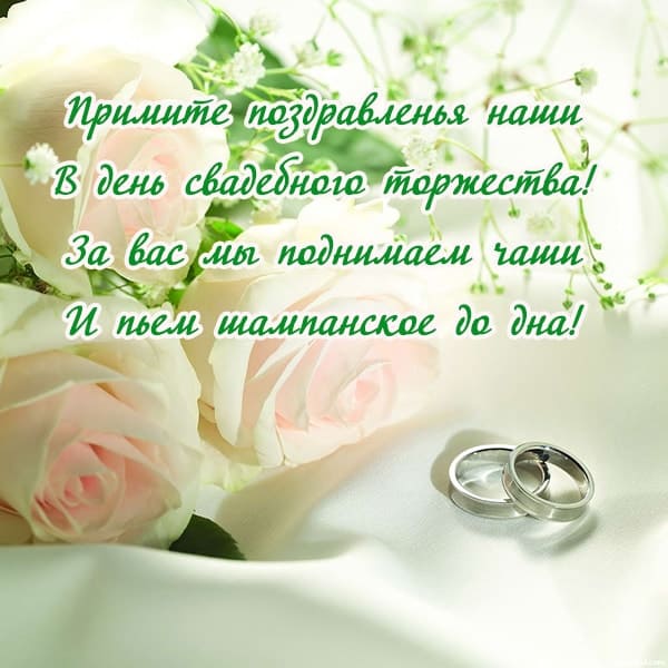нежно розовые розы на картинке с бракосочетанием