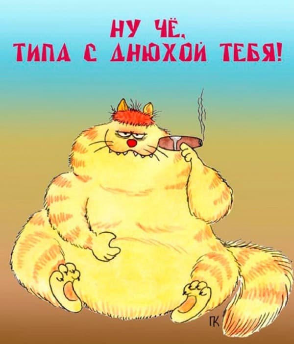 поздравление с днюхой от кота