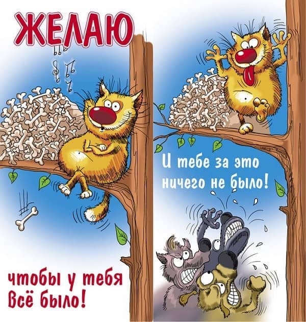 желаю чтобы у тебя все было картинка