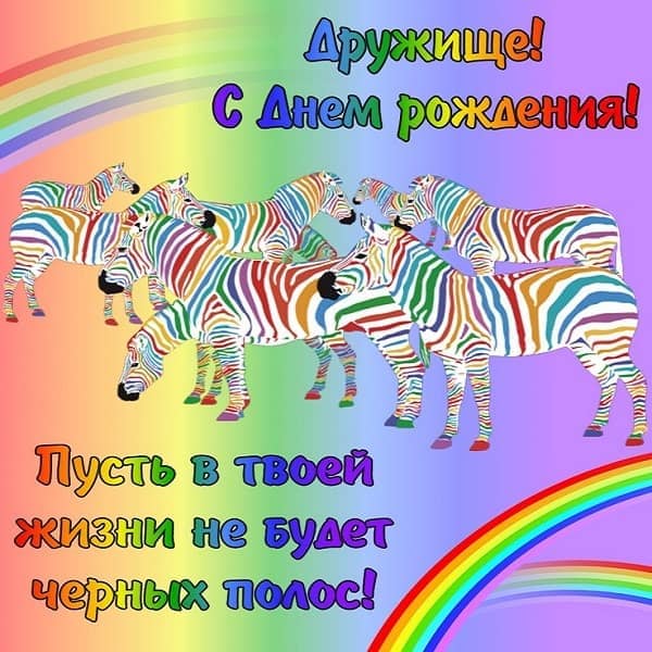 радужная зебра с днем рождения