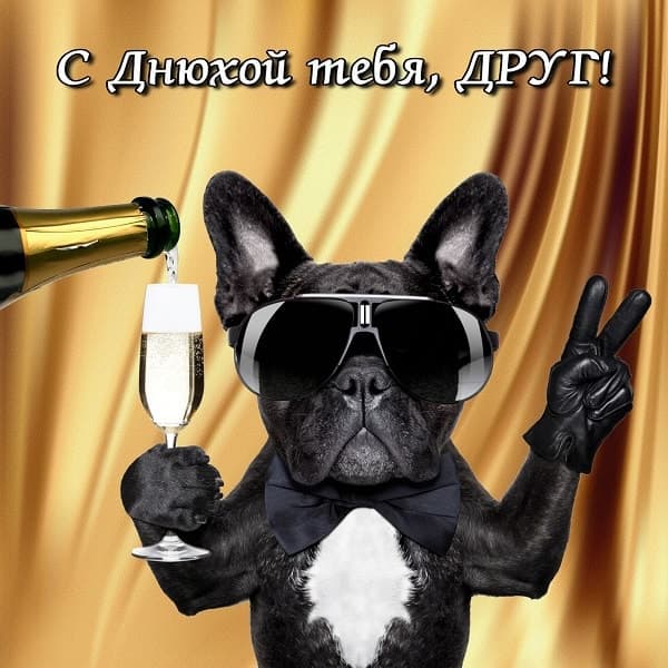 собака с фужером с днем рождения другу