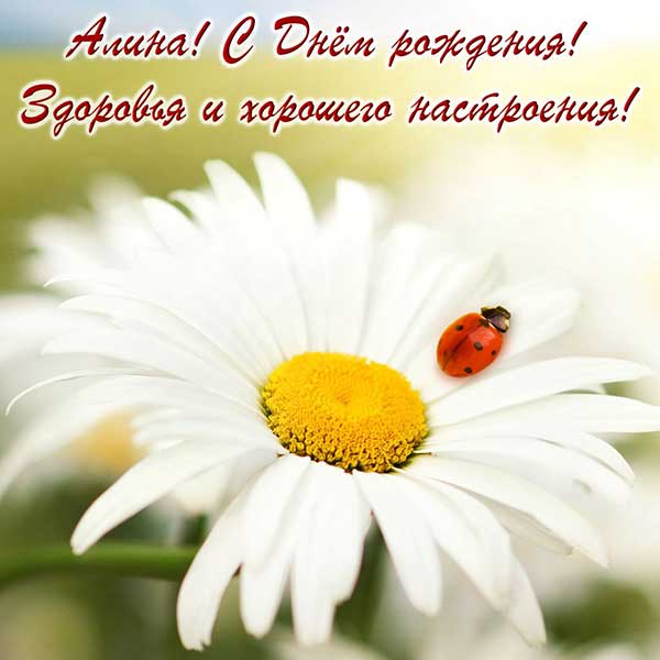 поздравления Алине_9