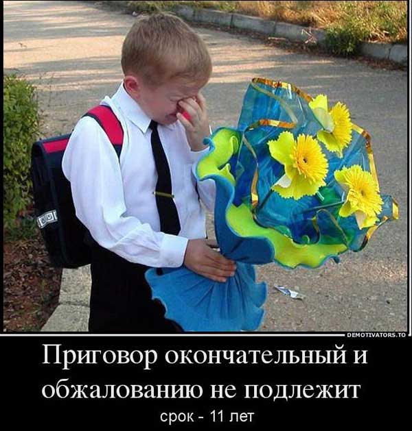 прикольная картинка к 1 сентября дню знаний_10
