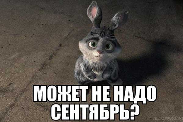 прикольная картинка к 1 сентября дню знаний_13
