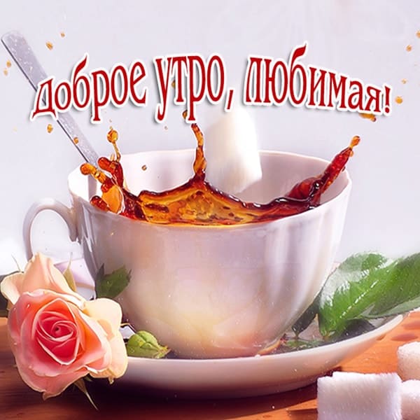 С добрым утром картинки с пожеланиями девушке