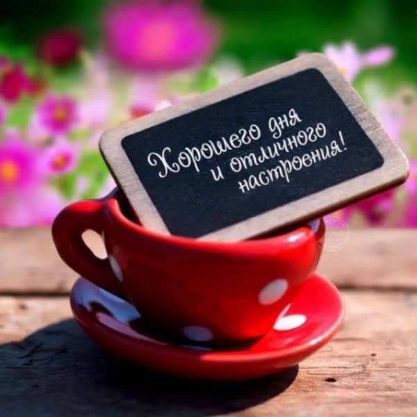пожелание с добрым утром табличка в красной чашке