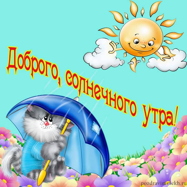 доброго солнечного утра, кот с зонтиком