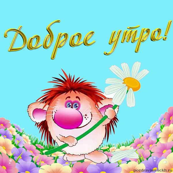 доброе утро картинка со смешным существом