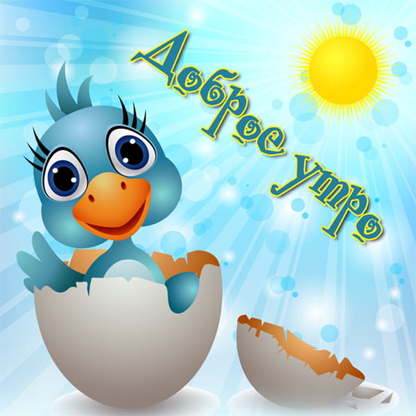 картинка с цыпленком доброе утро