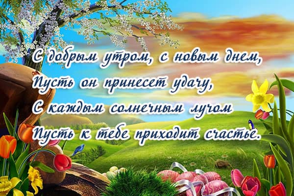 стих с добрым утром на картинке природа