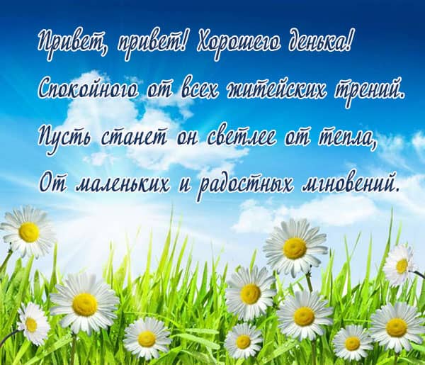 стих на картинке с ромашками с добрым утром