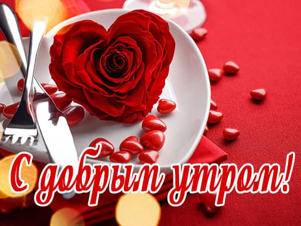 С добрым утром роза в блюдце