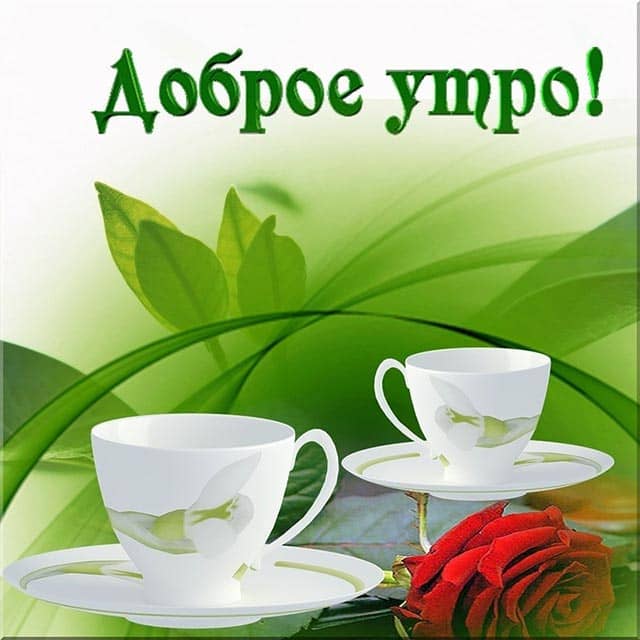 доброе утро