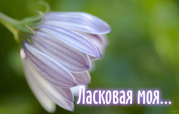 комплимент девушке_4