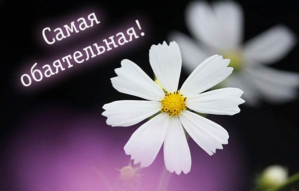 комплимент девушке_7