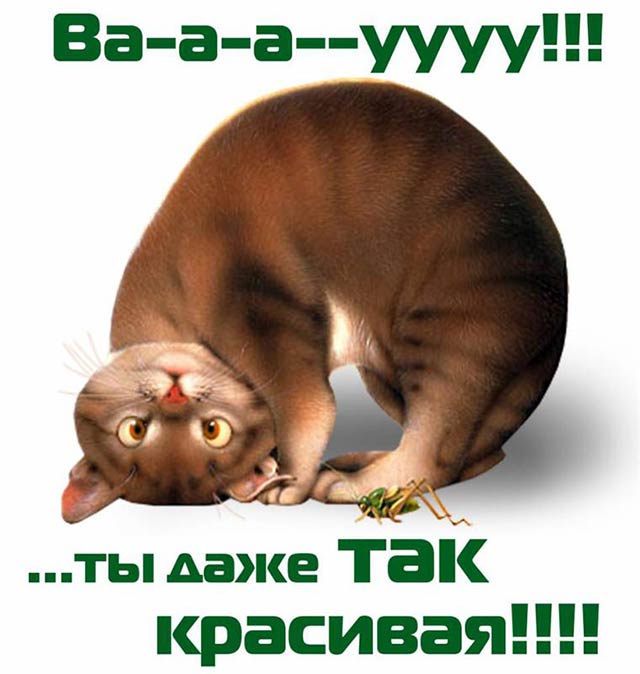 комплимент девушке прикольный