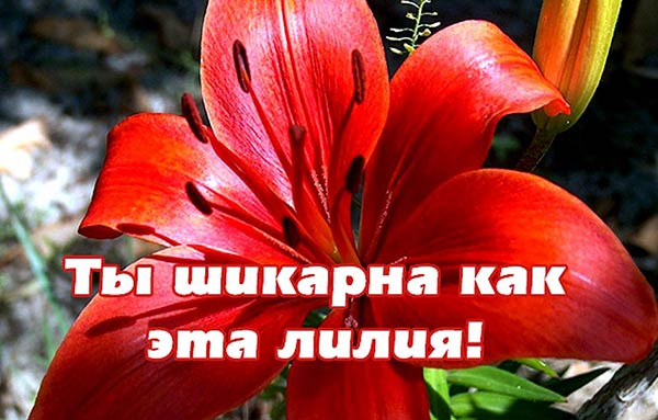 комплимент девушке_9