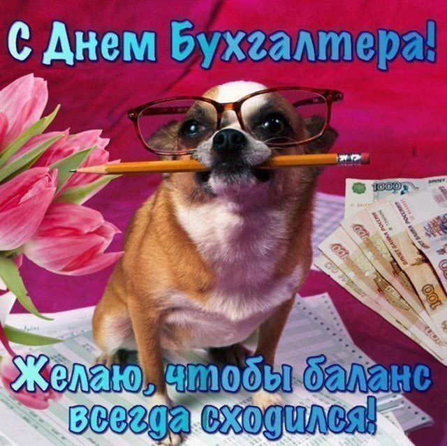 с днем бухгалтера 6