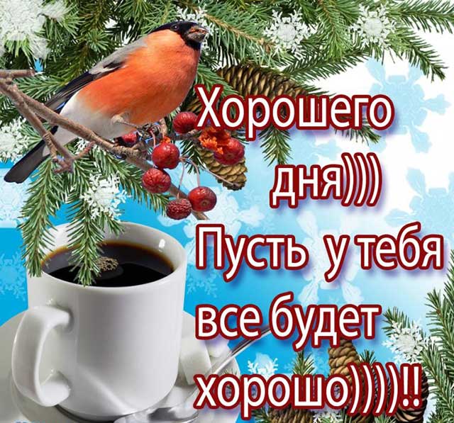 хорошего зимнего дня