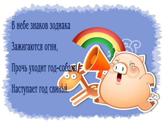 картинка свинка