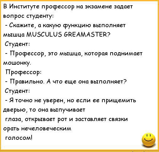 анекдоты про студентов_2